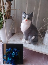 招き猫