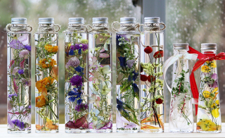 西大津　すぶる花カフェ