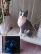 招き猫