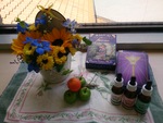 気分スッキリ！リフレッシュする花