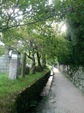夏の小路
