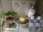 キャンペーンに当たった！ので